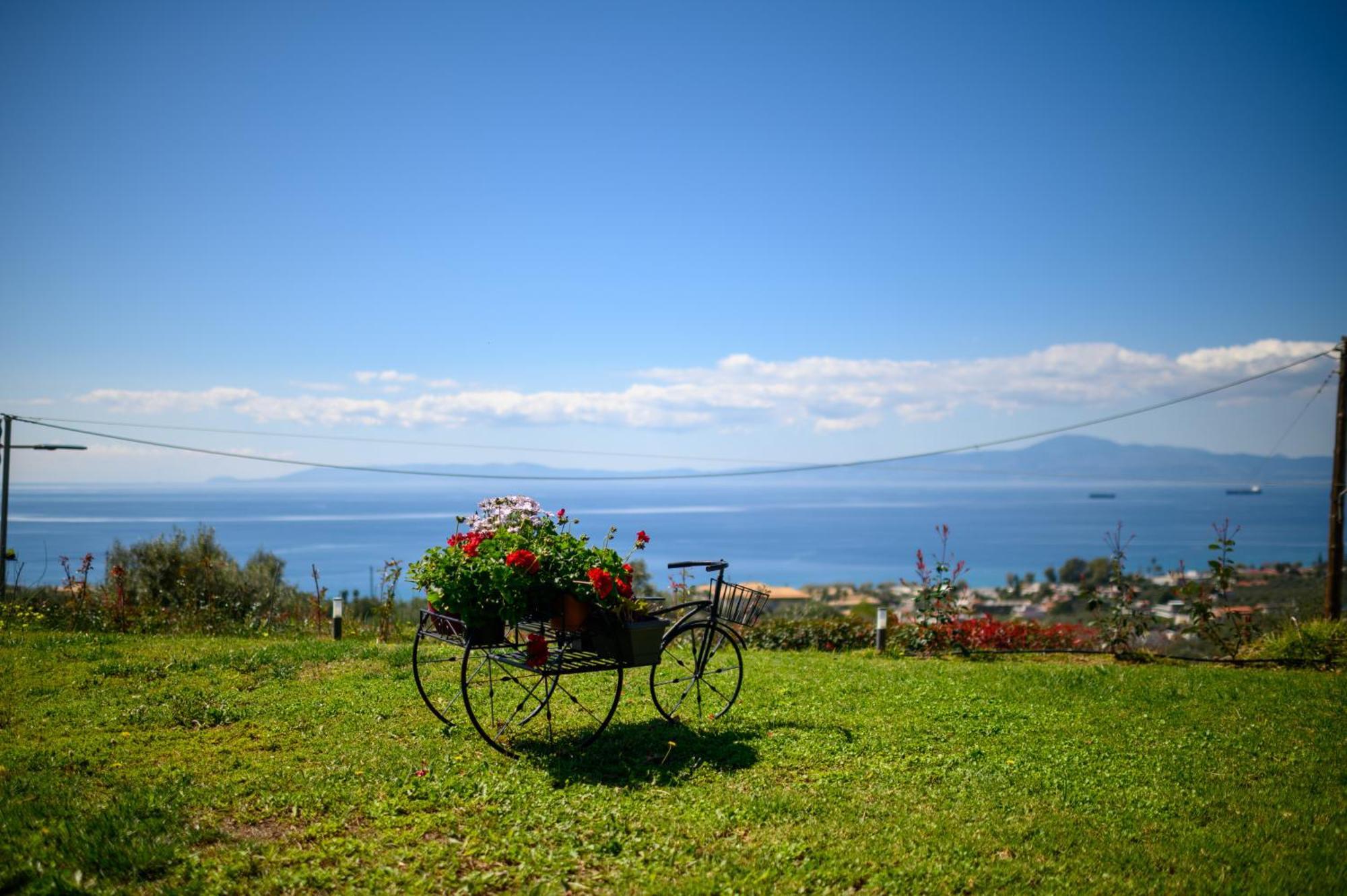 Villa Senso Panorama And